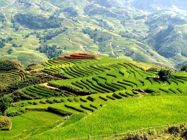 Tour ghép Sapa giá rẻ